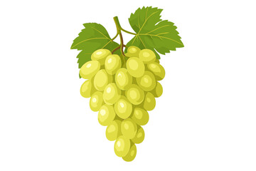 Obraz premium Realistic 3D Bunch of White Grapes with Green Leaves, Isolated on Transparent Background, Fresh Fruit Food Illustration, Organic Vineyard Produce, Healthy Snack, Harvest, Nature Concept