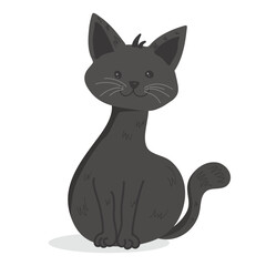 black cat on white background