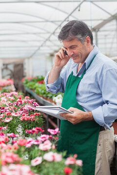 Senior male in greenhouse wearing apron reviewing notebook and calling on smartphone, copy space