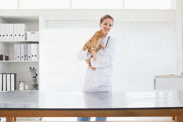 Female veterinarian holding orange tabby cat and using stethoscope by steel table in vet exam room