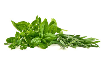 Fresh Herbs, Parsley, Rosemary, isolated on white background
