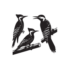 woodpeckers Vector (1).eps