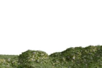 Low-angle view of a gently undulating, verdant hillside, sparsely dotted with rocks and shrubs against a stark black background. The texture is rough and uneven, suggesting a natural landscape