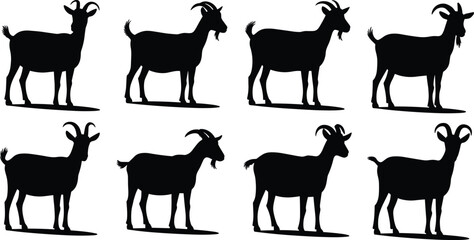 Goat silhouette collection, farm animal poses, black and white vector, livestock illustration, standing goats, isolated design, rural icon, editable graphic
