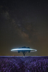 Magical nighttime view of a lavender field under a starry sky with the Milky Way in the background. A lone tree stands at the center of the field, while light trails from a drone illuminate the scene.
