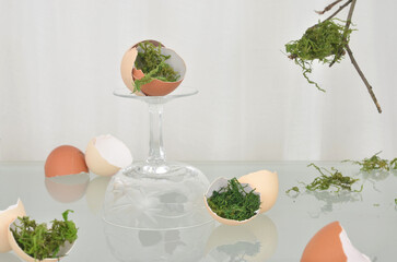 New trend: abstract, artistic table setting - still life life with moss, egg shells, upside down...