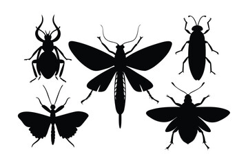 Collection of black insect silhouettes on a white background