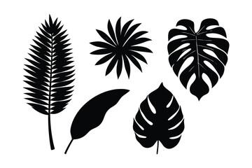 Collection of black tropical leaf silhouettes on a white background