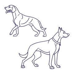 Hunting Dog Vector Line Art – Field Sport Design