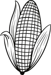 hand drawn vector illustration of a corn