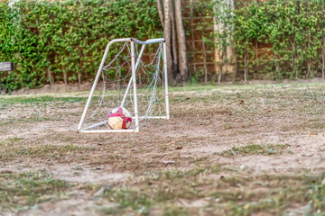 A ball rests inside a small metal goal net on a dirt field.