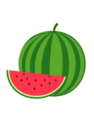 Watermelon slice illustration