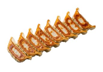 A row of perfectly pan-fried Japanese pork gyoza with golden-brown crispy bottoms and soft steamed tops, detailed pleats, on a transparent studio background. Culinary perfection concept