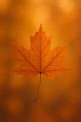 Close-Up of Autumn Maple Leaf with Warm Bokeh Background