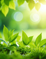 Fresh green leaves sprout from vibrant moss in a sunlit forest scene, symbolizing growth, renewal, and the beauty of nature’s awakening.