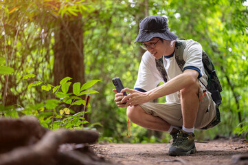Man tourist crouching taking picture of a plant or animal on phone during forest hiking or trekking.