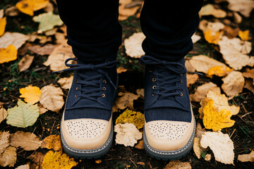 Stylish autumn outfit ideas featuring navy and beige lace up shoes on ground covered with colorful fallen leaves, evoking cozy seasonal vibe