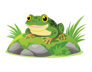 Green Frog on a Rock with a Smiling Face