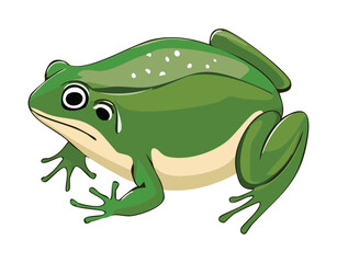 A Realistic Illustration of a Spotted Green Frog