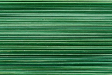 Obraz premium Close-up view of many parallel green lines