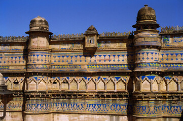 indian old palaces mahals india 