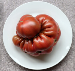 Schwarze von der Krim - Black Crimea