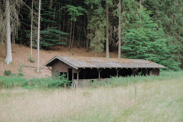 Abandoned Wooden Ground in Forest Clearing