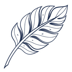 feather bird pen vector illustration