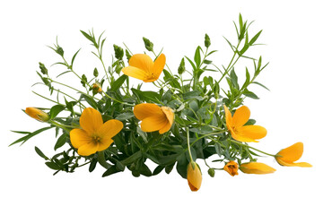 Bush of wildflowers with soft yellow petals and vibrant green leaves creates cheerful and lively scene, perfect for adding touch of nature beauty to any setting
