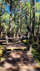 Walk way in the park -  Taiwan