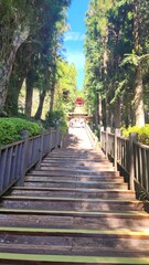 walk in the park- Taiwan
