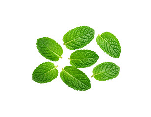 Fresh green mint leaves, a blend of aromatic herbs and spices, isolated on a white background