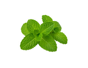 Fresh green mint leaves, a blend of aromatic herbs and spices, isolated on a white background