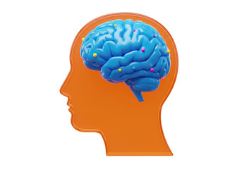 Fototapeta premium Isolated Human Head Silhouette with a Detailed Brain and Neural Connections