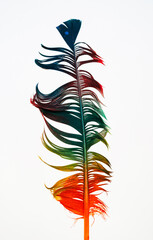 Bunte Vogelfeder
