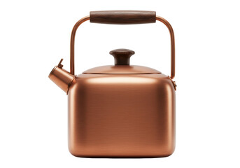 Isolated Elegant Copper Teapot with Wooden Handle