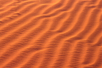 indian thar desert sand dunes india 