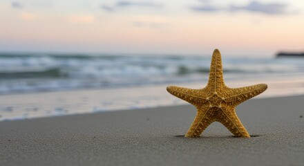Starfish on Sandy Beach at Sunset &ndash; Perfect for Wellness Retreat Ads, Nature-Themed Posters, Travel Agency Marketing, or Calmness and Meditation Concepts
