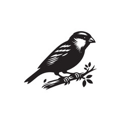 Fototapeta premium Sparrow Vector (2).eps