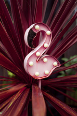 Vintage Pink Flamingo Garden Decor Among Red Tropical Leaves