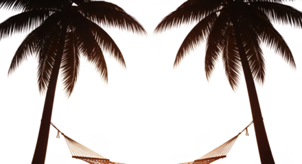 Two palm trees silhouetted against a dark night sky