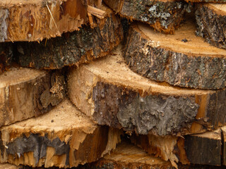 A detailed close-up of stacked firewood logs