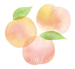 水彩風の桃のイラスト