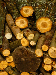 A detailed close-up of stacked firewood logs