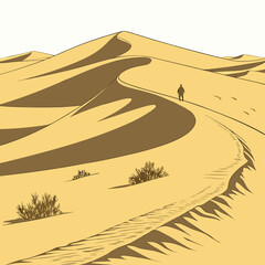 road in desert
