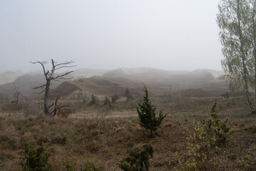 Curonian Spit, Lithuania
