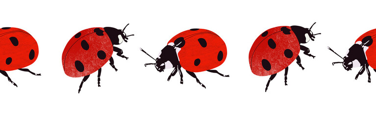 Ladybug icon border. Ladybug silhouette symbol. Ladybug border isolated on white background