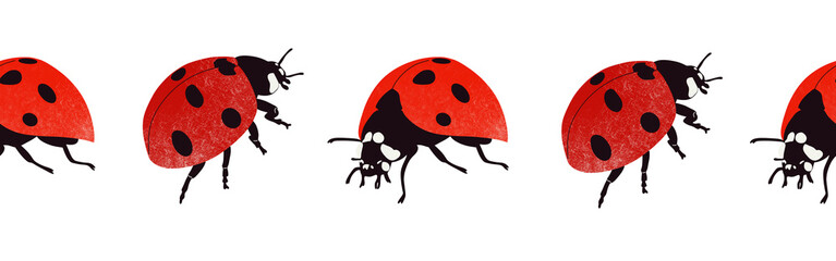 Ladybug icon border. Ladybug silhouette symbol. Ladybug border isolated on white background