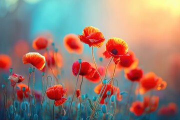 Fototapeta premium Bright red poppies bloom in a vibrant field, illuminated by warm sunlight against a dreamy, soft-focus blue background
