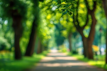 Blurred park path lined with trees (1)